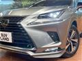 2021 Lexus NX