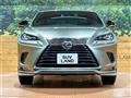 2021 Lexus NX