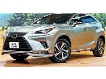 2021 Lexus NX