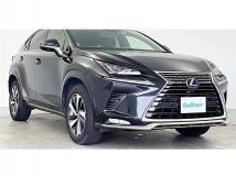 2021 Lexus NX