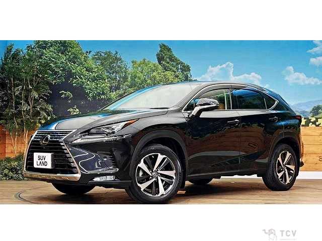 2021 Lexus NX