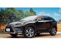 2021 Lexus NX