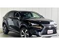 2021 Lexus NX