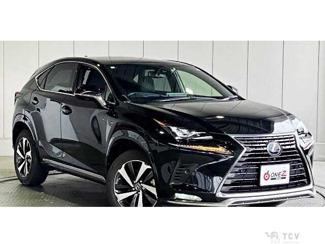 2021 Lexus NX