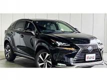 2021 Lexus NX