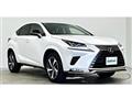 2021 Lexus NX