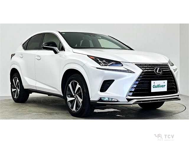 2021 Lexus NX