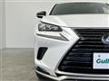 2021 Lexus NX