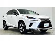 2021 Lexus NX