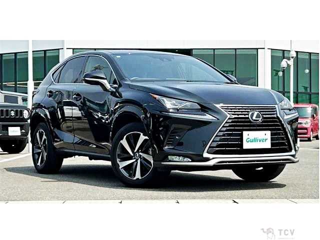 2021 Lexus NX