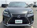 2021 Lexus NX