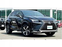 2021 Lexus NX