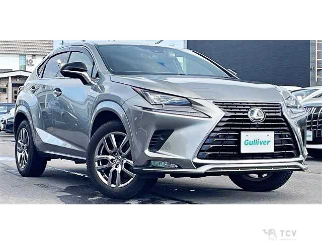 2021 Lexus NX