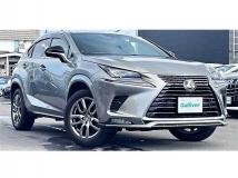 2021 Lexus NX