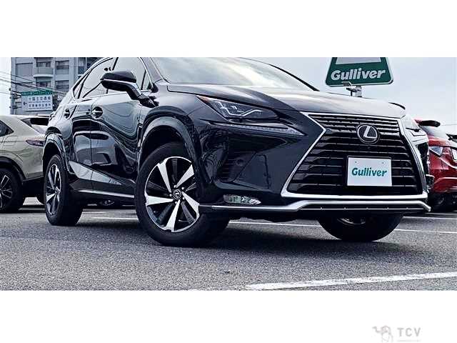2021 Lexus NX