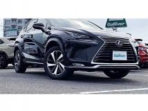 2021 Lexus NX
