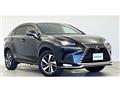 2021 Lexus NX