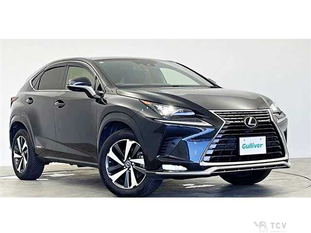 2021 Lexus NX