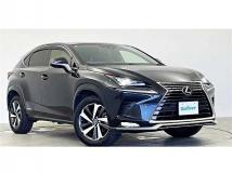 2021 Lexus NX