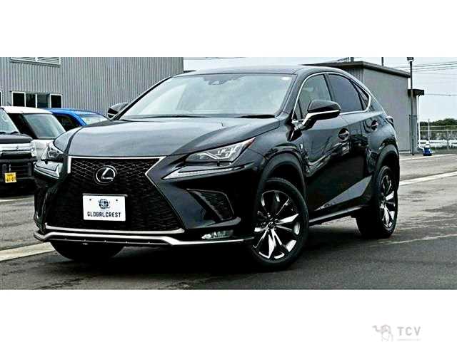 2021 Lexus NX