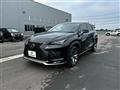 2021 Lexus NX