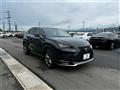2021 Lexus NX