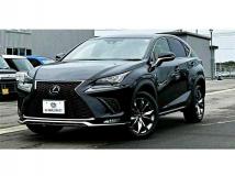 2021 Lexus NX