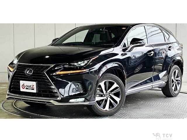 2021 Lexus NX