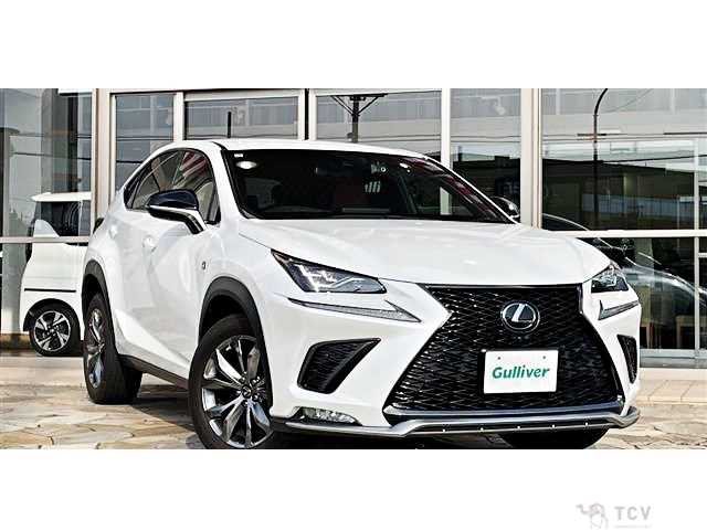 2021 Lexus NX