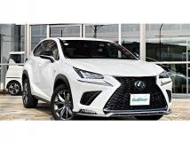2021 Lexus NX
