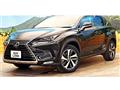2021 Lexus NX