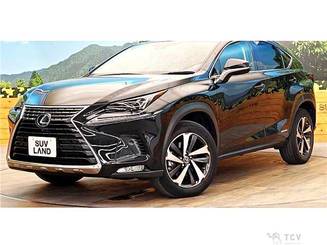 2021 Lexus NX