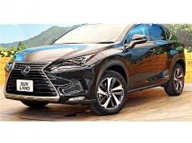 2021 Lexus NX