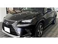 2021 Lexus NX