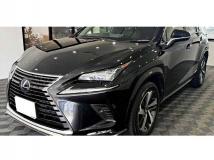 2021 Lexus NX