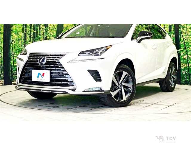 2021 Lexus NX