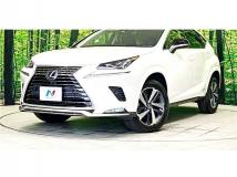 2021 Lexus NX