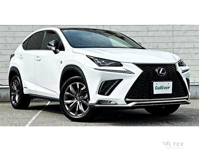 2021 Lexus NX