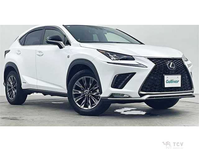 2021 Lexus NX