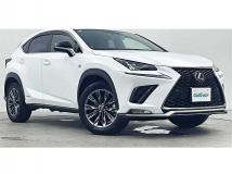 2021 Lexus NX