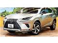 2021 Lexus NX