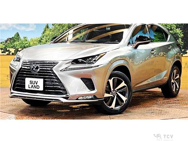 2021 Lexus NX