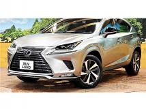 2021 Lexus NX