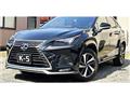 2021 Lexus NX