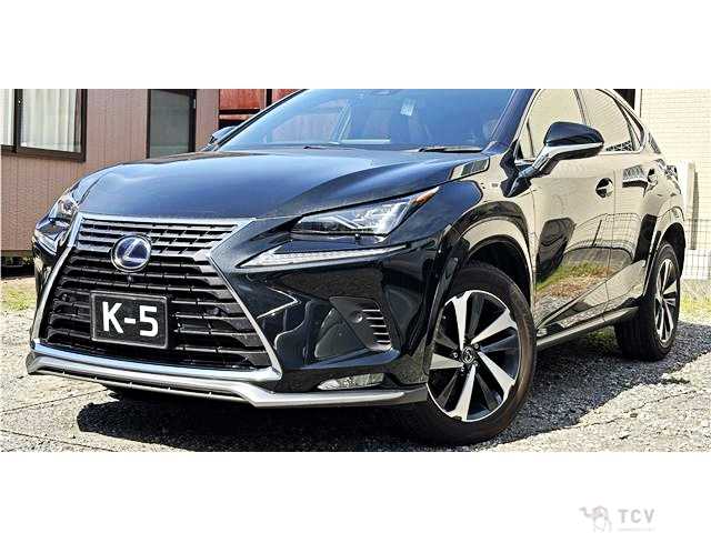 2021 Lexus NX