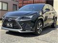 2021 Lexus NX