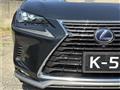 2021 Lexus NX