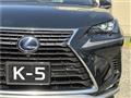 2021 Lexus NX