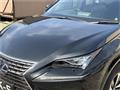 2021 Lexus NX