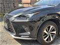 2021 Lexus NX
